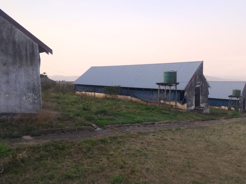 Peter v.d.M.